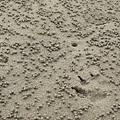 DSC05135