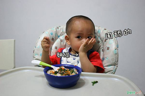 IMG_1884 IMG_1884
