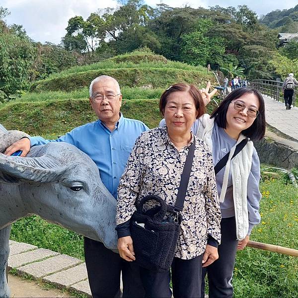 【居家好物】羅布森樓梯升降椅，長輩不再煩惱上下樓梯了！樓梯升