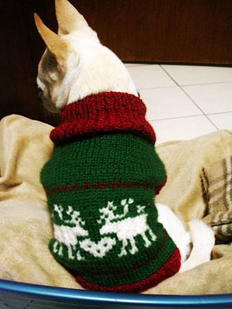 Dog Sweater