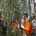 鳳凰山北峰鞍部