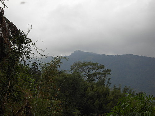 烏松崙遠眺金甘樹山