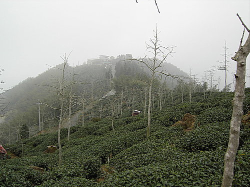 貓東望山