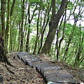 登嘉南雲峰 石壁山