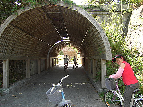 花架隧道