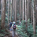 1410m 加里山步道