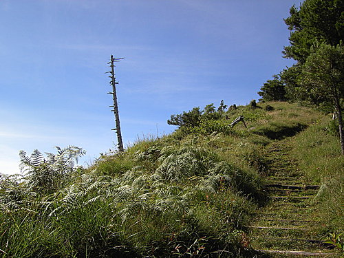 鹿林山