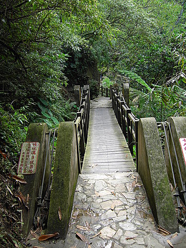 竹坑溪  九號吊橋