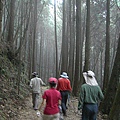 橫嶺山自然步道