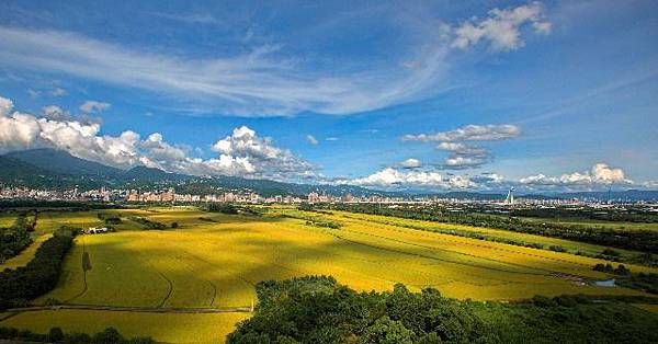 20170706-_D8A8400_resized.jpg 20170706-_D8A8400_resized.jpg