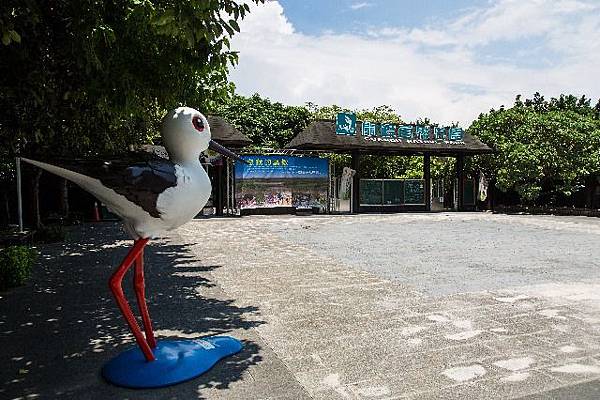 _D8A6374_resized.jpg _D8A6374_resized.jpg