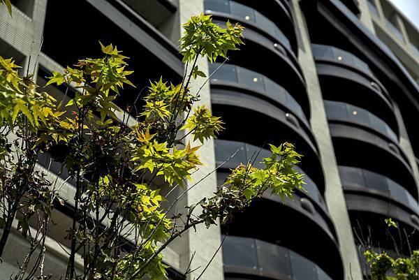 20170514-_FPH8988.jpg 20170514-_FPH8988.jpg