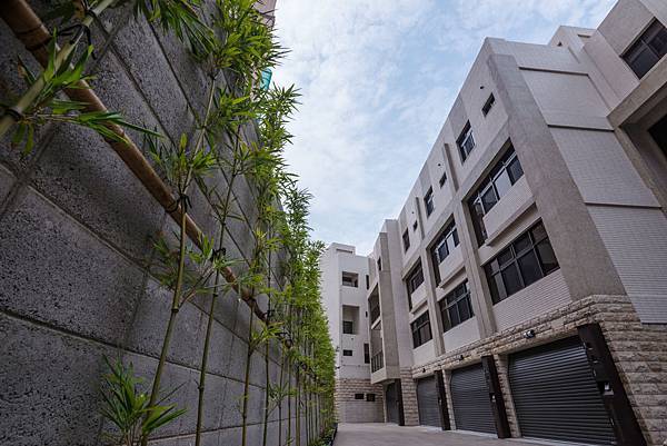 _DSC5419.jpg _DSC5419.jpg