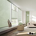 Luxaflex® Plissé & Duette® Shades 1117.jpg