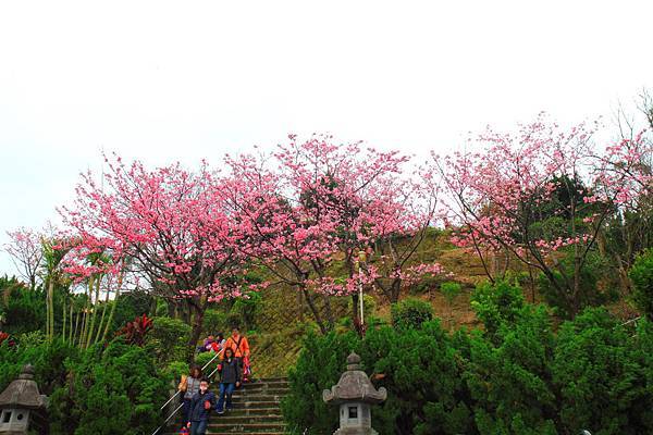 山上巷子盡頭的善光寺