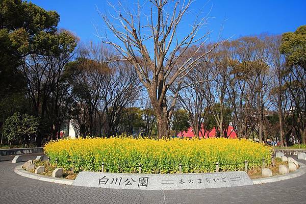 白川公園