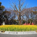 白川公園