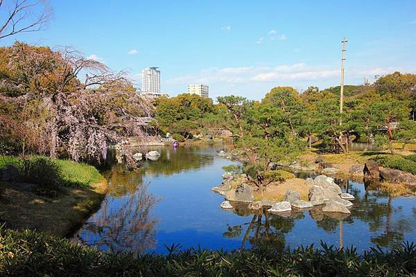 這樣美麗的風景, 只能說來名古屋的話, 千萬別錯過~