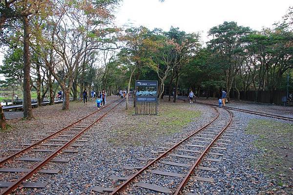 羅東林鐵的762mm軌道出現在眼前