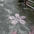 地上的櫻花噴漆