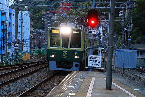 這班阪神直通特急有點特別