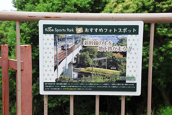 想要拍到這樣的畫面可能得做好功課