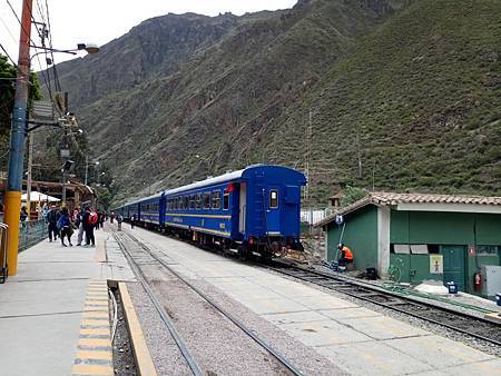 Peru rail (1).jpg