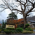 DSC_0685.JPG