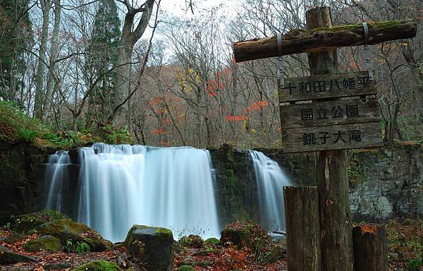 DSC_0804.JPG