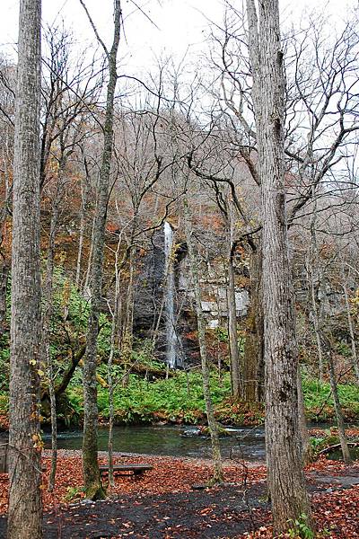 DSC_0835.JPG