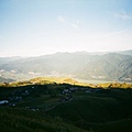 06710037