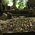 DSC_0043.JPG