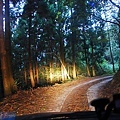 DSC_0816.JPG