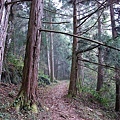 DSC_0765.JPG