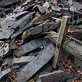 DSC_0770.JPG