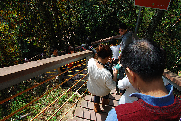 DSC_1405.JPG