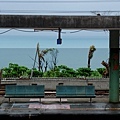 DSC_0147.JPG