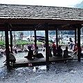 DSC_0360.JPG