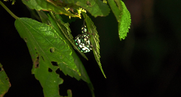 DSC_0328-4.jpg