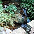 DSC_0520.JPG