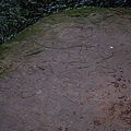 DSC_0536.JPG