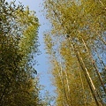 DSC_1524.JPG