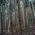 DSC_0787.JPG