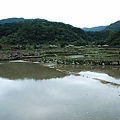 DSC_0495.JPG