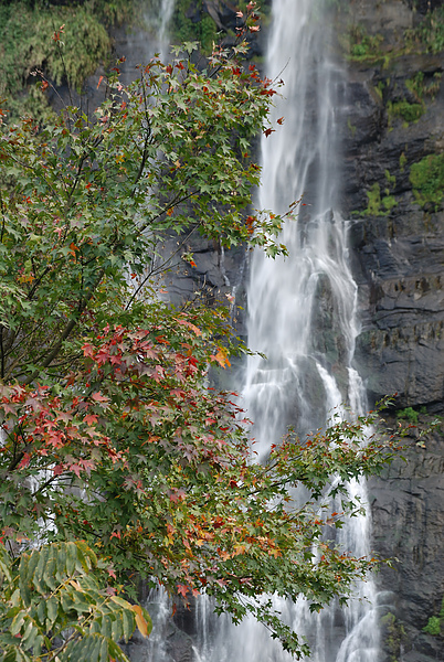 DSC_0098.JPG