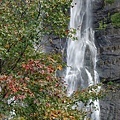 DSC_0098.JPG