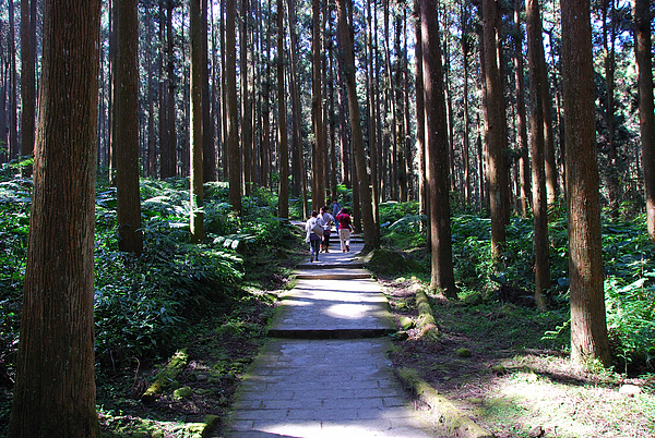 DSC_1614.JPG