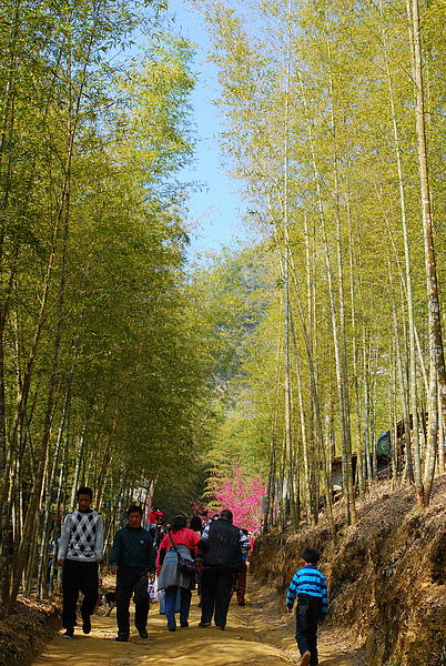 DSC_1516.JPG