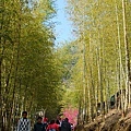 DSC_1516.JPG