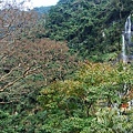 DSC_0110.JPG